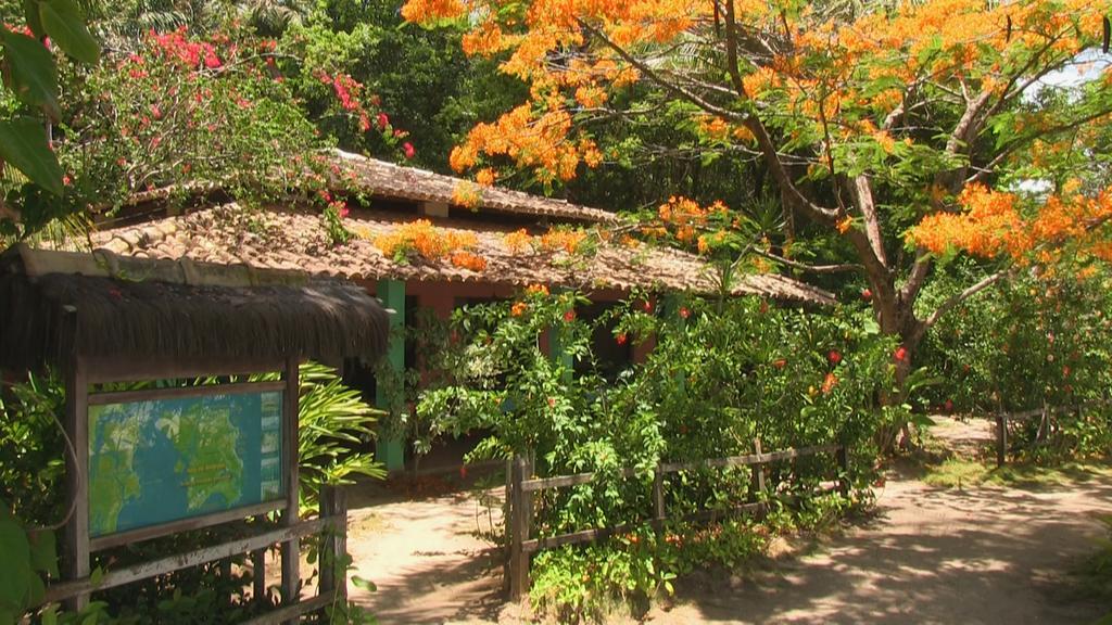 Tassimirim Velha Boipeba