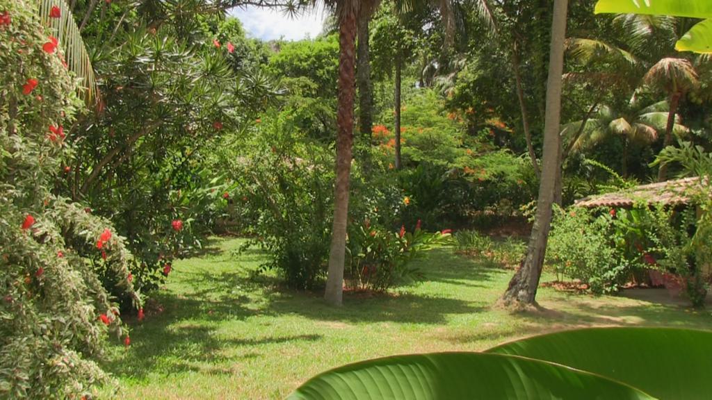 Inn Tassimirim Velha Boipeba