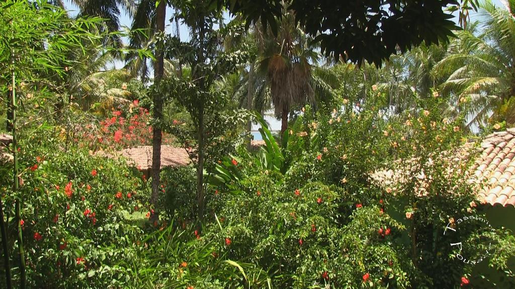 Tassimirim * Velha Boipeba
